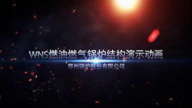 WNS燃油燃氣鍋爐結(jié)構(gòu)演示動畫